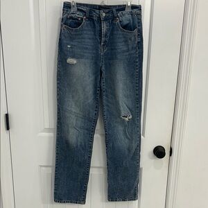 Sincerely Jules Distressed Jeans